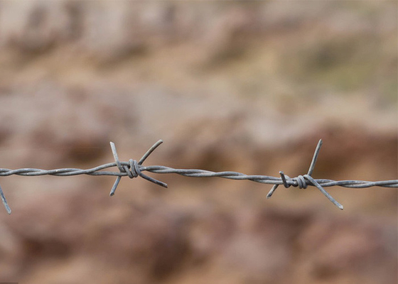 Verwendung von Gefängniswänden Drehen 3 oder 4 Zoll Barbe Distanz Heiß getaucht galvanisiertes Stacheldraht