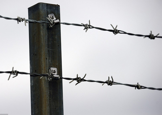 Verwendung von Gefängniswänden Anti-Klettern galvanisierter Stacheldraht