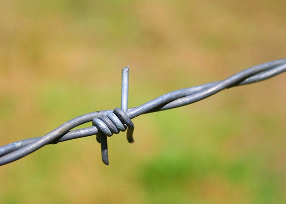 Verwendung von Gefängniswänden Einzelstrang Stahlstahl Stacheldraht