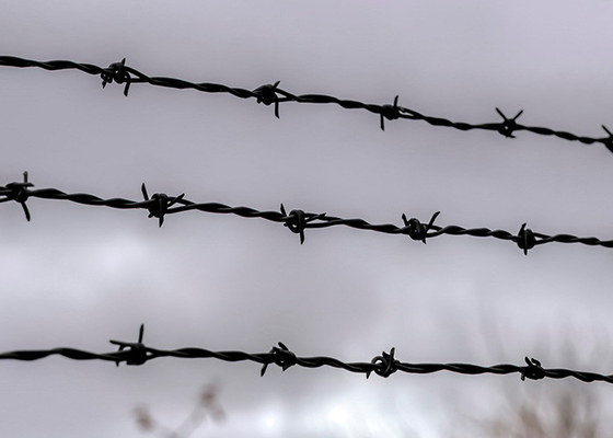 Verwendung von Gefängniswänden doppelt verdrehten PVC-beschichteten/verzinkten Stacheldrahtspulen