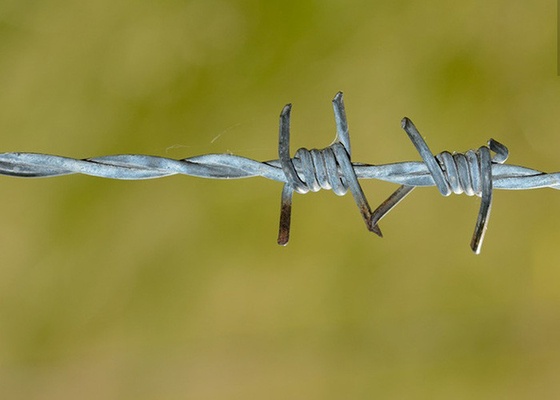 Verwendung von Gefängniswänden doppelt verdrehten PVC-beschichteten/verzinkten Stacheldrahtspulen