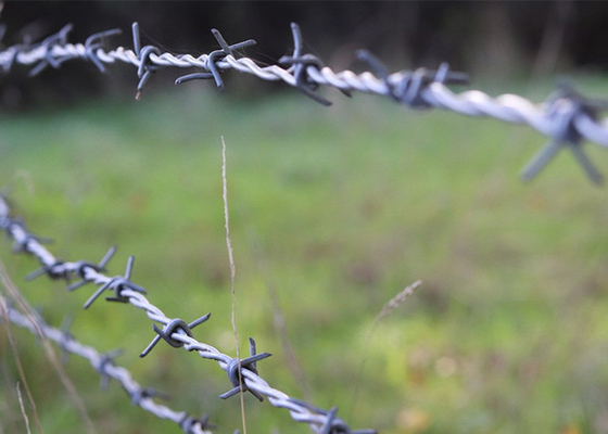 Verwendung von Gefängniswänden Doppelstrang-umgekehrter Drehstahlstahlstahlstahldraht
