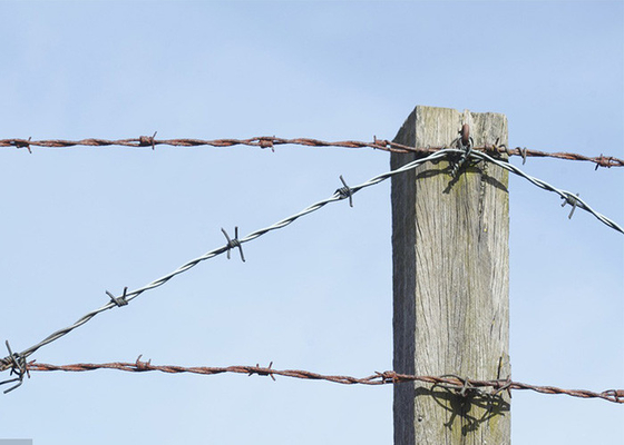 Garten-Anti-Diebstahl-Einzelstrang galvanisierter Stahlstacheldrahtzaun