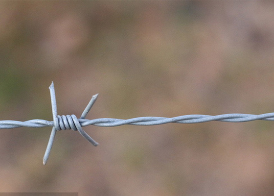 Garten-Anti-Diebstahl-Doppelstrang-Traditionelle Dreh-Elektro-Stacheldraht Spulen