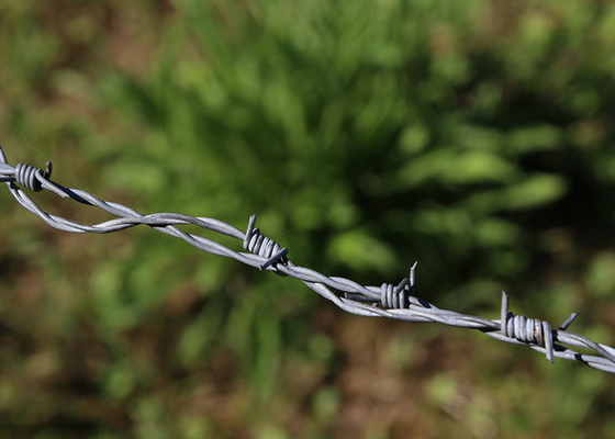 Garten-Anti-Diebstahl-Twist 3 oder 4 Zoll Barbe Distanz heiß getaucht galvanisiertes Stacheldraht