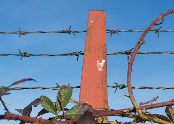 Warmgetränkte galvanisierte Sicherheitsstacheldraht Hochdurchmesserdraht für sichere Grenzen