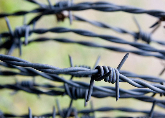 Garten Anti-Diebstahl Länge 200m Edelstahl Stacheldraht Preis pro Rolle