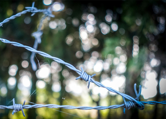 Garten-Anti-Diebstahl-Doppelstrang-Traditionelle Twist Galvanized Stacheldraht Spulen