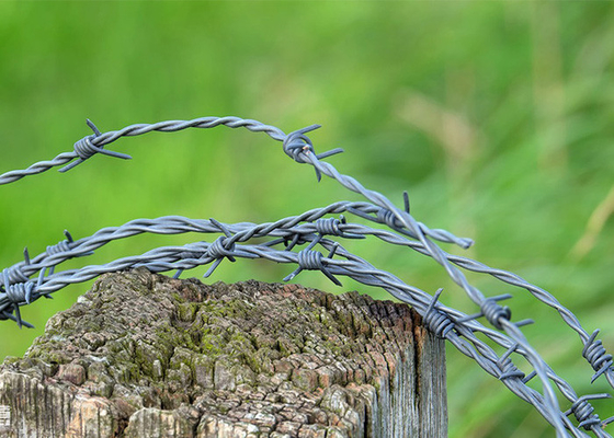 Garten-Anti-Diebstahl-Länge 200m Einstrang-Hot Dip Galvanized Stacheldraht