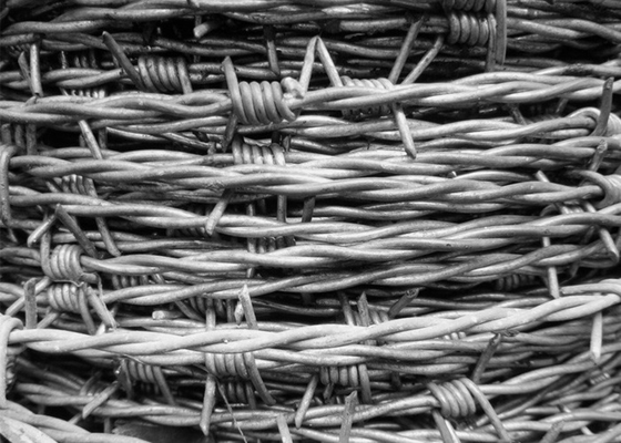Garten-Anti-Diebstahl 12,5 Gauge Doppelverdrehte Verzinkte Stacheldraht