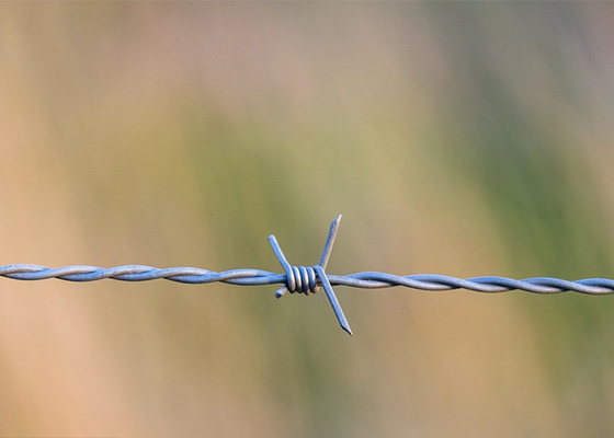 Farmschutz Einzelstrang Warmtauchverzinktes Stacheldraht Preis pro Rolle