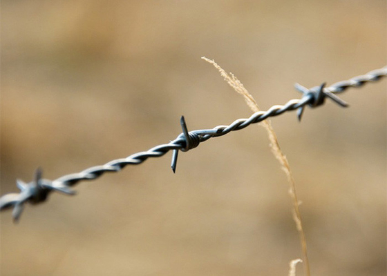 Bauernhofsschutz Doppeldrehte, heiß getauchte, verzinkte Stacheldrahtspulen