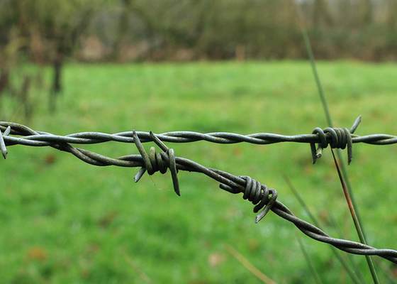 Farmschutz Einzelstrang Stahlstahl Stacheldraht Preis pro Rolle