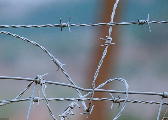 Für den Betriebsschutz: doppelt gedrehte PVC-beschichtete/verzinkte Stacheldrahtspulen