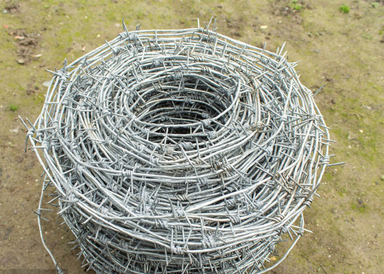 Landwirtschaftsschutz mit einem einzigen Strang, warmgetränkt, verzinktes Stahlstahlstahldraht