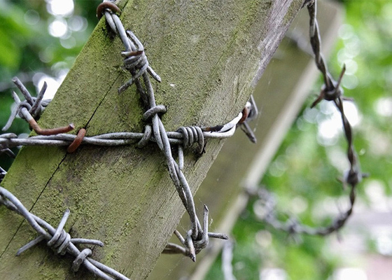 1.8mm Doppelstrang-Umkehrdrehung Elektro-Stahl Stacheldraht Spulen