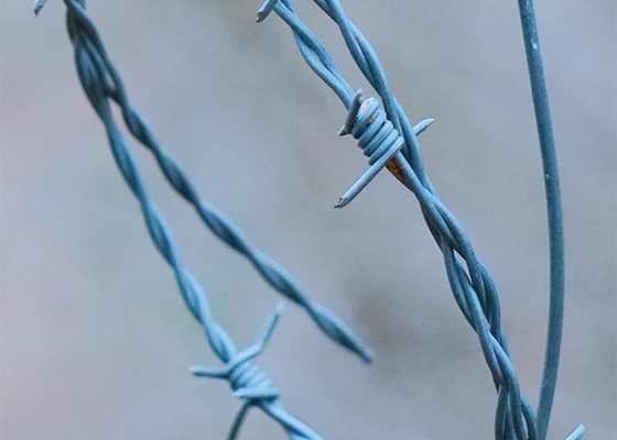 Rostbeständigkeit 3 oder 4 Zoll Stacheldistanz Einzelstrang PVC beschichtet Eisen Stacheldraht