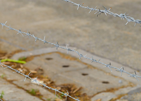 Rostbeständigkeit Doppeldrehte, heiß getauchte, verzinkte Stacheldrahtspulen