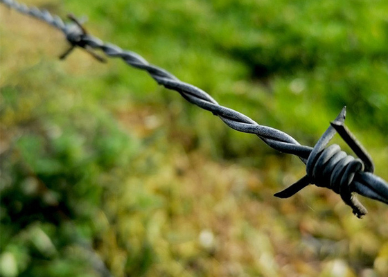 Elektroverzinkte Stacheldraht für Isolierung und Schutz