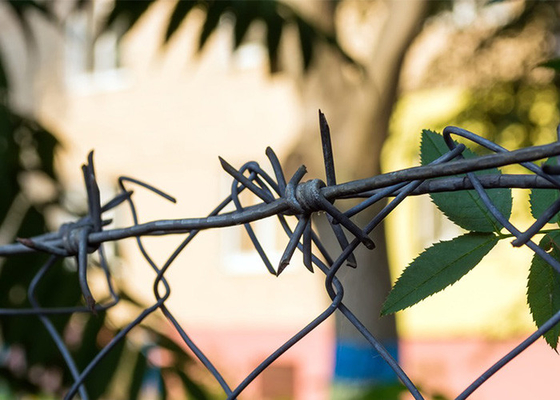 Für Sicherheitsbedürfnisse praktisch und leicht zu pflegen