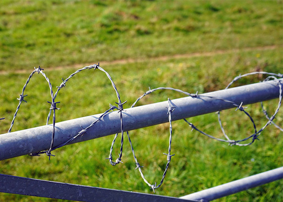 Rostbeständigkeit Einstrangverzinkte Stahlstahlstahlzaun