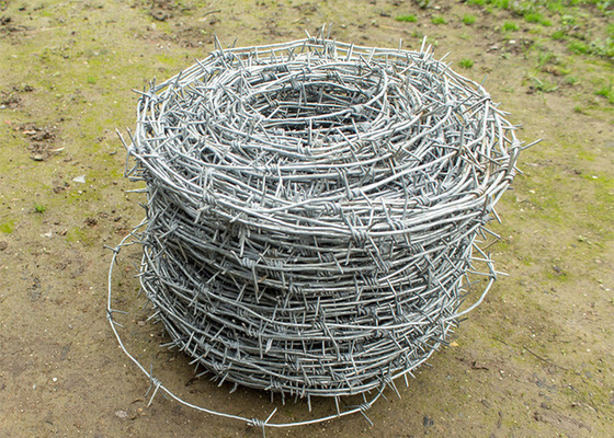 Rostbeständigkeit Einfachstrang Warmgetränkt Galvanisiertes Stahl Stacheldraht