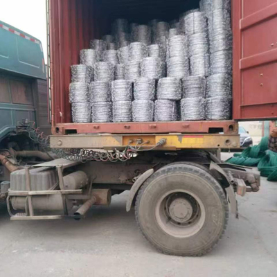 Hot Dip Galvanized Security Bared Wire Mesh für den Bauernhof Schutz Zaun