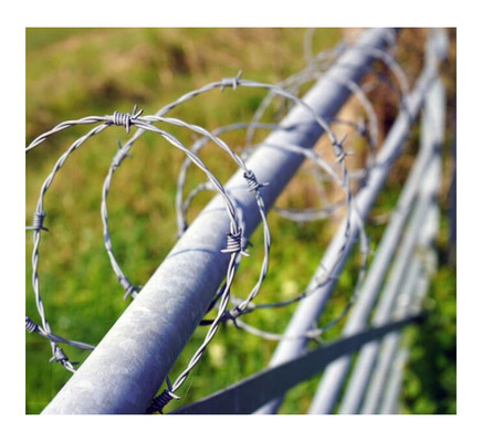 Kreuzstacheldraht Verteidigungsmaßnahmen Korrosionsschutz Galvanisiertes Schweißdraht Barndraht Zaundraht