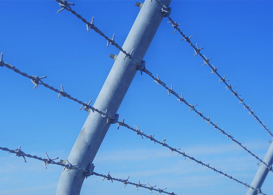 Installation von Stacheldraht-Schutz-Hochdipp-verzinkten Stacheldrahtzaun für die Gefängnissicherheit