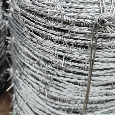 Installation von Stacheldraht-Schutz-Hochdipp-verzinkten Stacheldrahtzaun für die Gefängnissicherheit