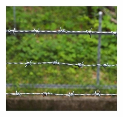 Spirale Stacheldraht Verteidigung galvanisierte Stacheldraht Installation Sicherheitszaun
