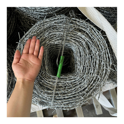12#*14# Stacheldraht für Sicherheitszaun