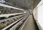 3 Reihen-Geflügel-Batterie für Ei-Hühnergeflügelfarm CER Bescheinigung