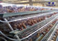 Heißer eingetauchter galvanisierter Draht-Mesh Poultry Hen Layer Chicken-Käfig