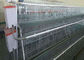 Modern Farm Building Poultry Layer Chicken Cage