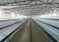 Art-EIn Batterie, die 3/4 Reihen-Farm- der Tiereautomatischen Schicht-Hühnerkäfig legt