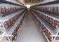 Reihen des automatischen System-Q235 4 überlagern Hühnerkäfig für Bauernhof