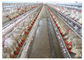 Brathühnchen-Käfig der Geflügelzucht-Q235 mit CER Zertifikat