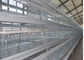 4 Reihen-heißer eingetauchter galvanisierter automatischer Stahlkäfig für Schicht-Hühner