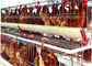 Art Geflügel-Huhn des automatischen System-128 sperrt Ei-Schicht-landwirtschaftliche Maschinen ein