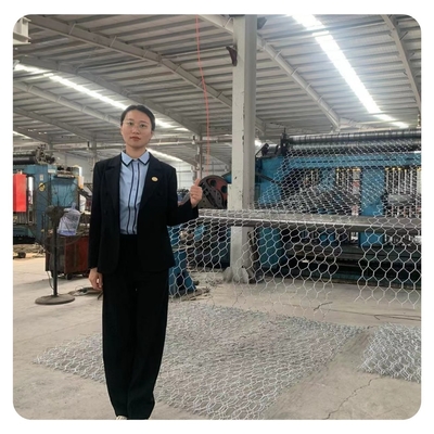 Sechseckige Zink-Matratze galvanisierter Draht Mesh Gabion Basket 1x1x1