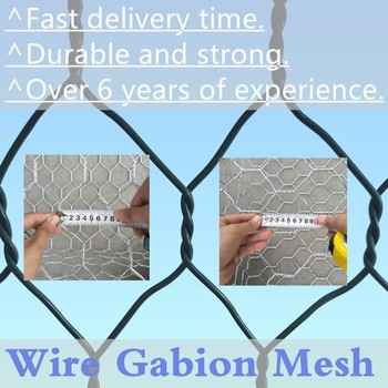 100 mm X 120 mm Gabion-Gitter-Glas-Box für die Erhaltung des Bodens