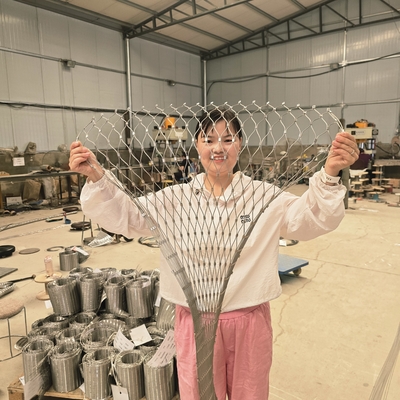 Tierzaunbau Flexible Balustrade Edelstahl-Drahtseilnetz für Pflanzenklettergerüst / Kabelnetz