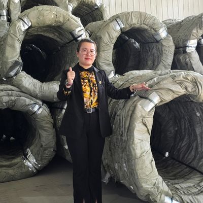 Egoza Ziehharmonika-Drahtzaun, rasiermesserscharfer Stacheldraht, scharfer Schutz für kritische Standorte