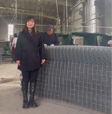 SX10 Sandfilter HESCO Verteidigungsschranken mit Geotextil Militär Gabionschranken HESCO Schranken Preis