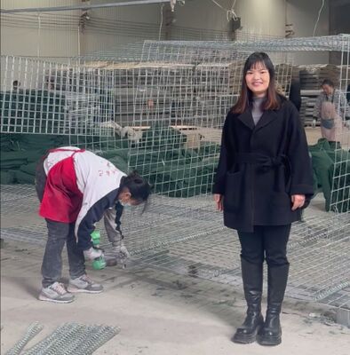 Mil 1 Armee Verteidigungsbarriere Wandschutz Galvanisiert mit Geotextil beschichtet