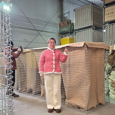 Mil 1 Abwehrbarriere Hesco Barriere Verzinktes Schweißnetz Vorgefertigtes Hochwasserschutz Militärbefestigungsanlagen Einfache Montage