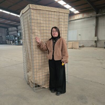Militärische Barriere Hesco Bastion Wire Mesh Gabion Box mit Spiral Tie Draht und dicken Draht Durchmesser für eine verbesserte Stabilität